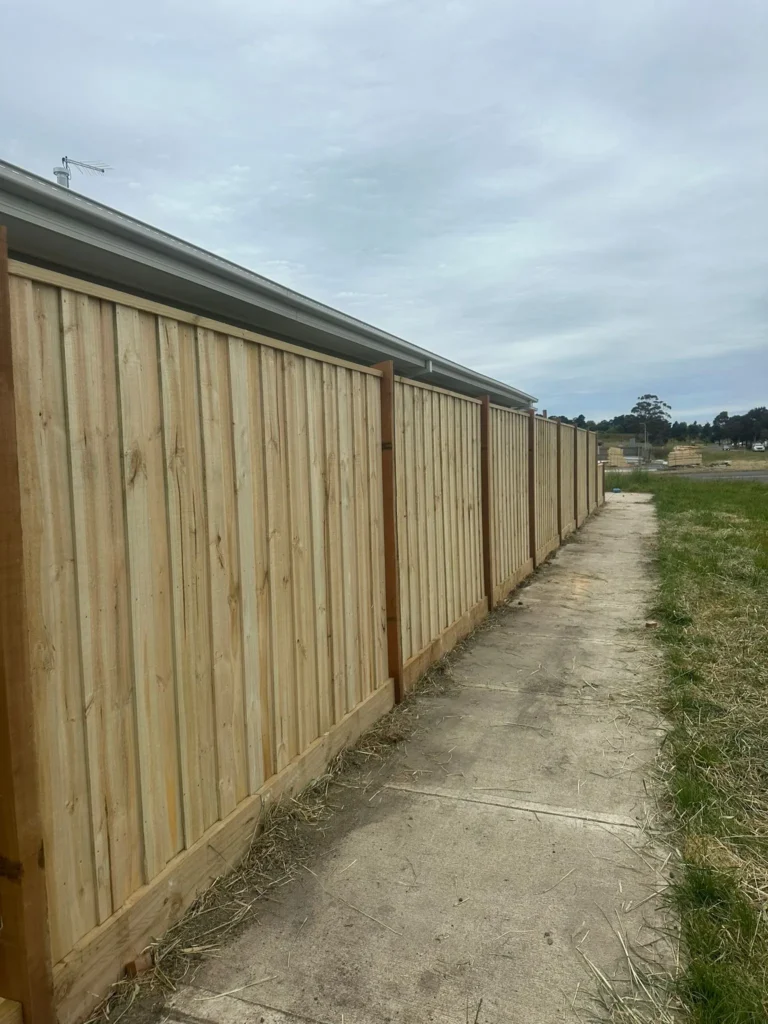 Fencing-4